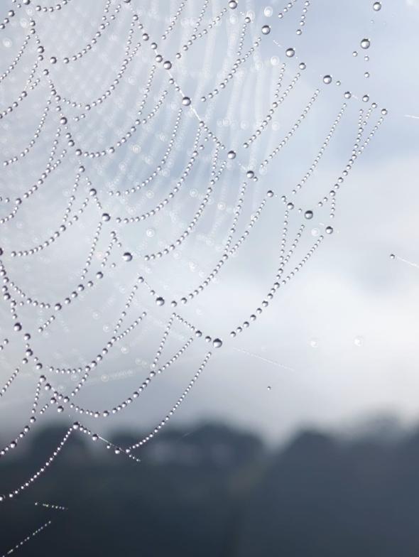 fotografia da autora